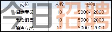 通州最新招聘信息汇总