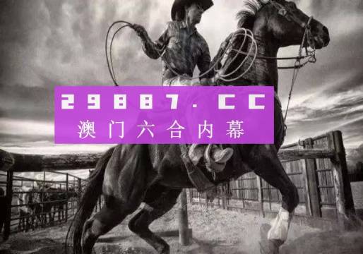 澳门跑狗图,实践研究解释定义_动态版12.155