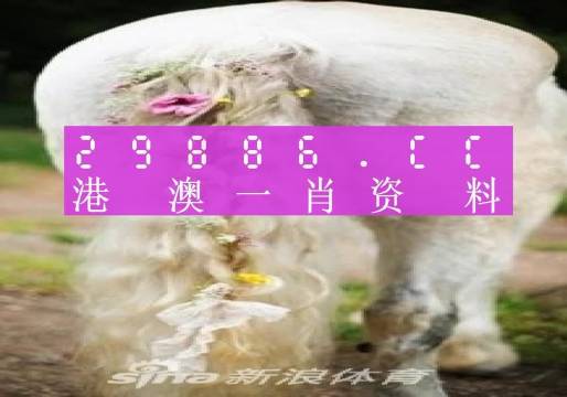 澳门必中一肖一码四不像,科学依据解释定义_L版27.500