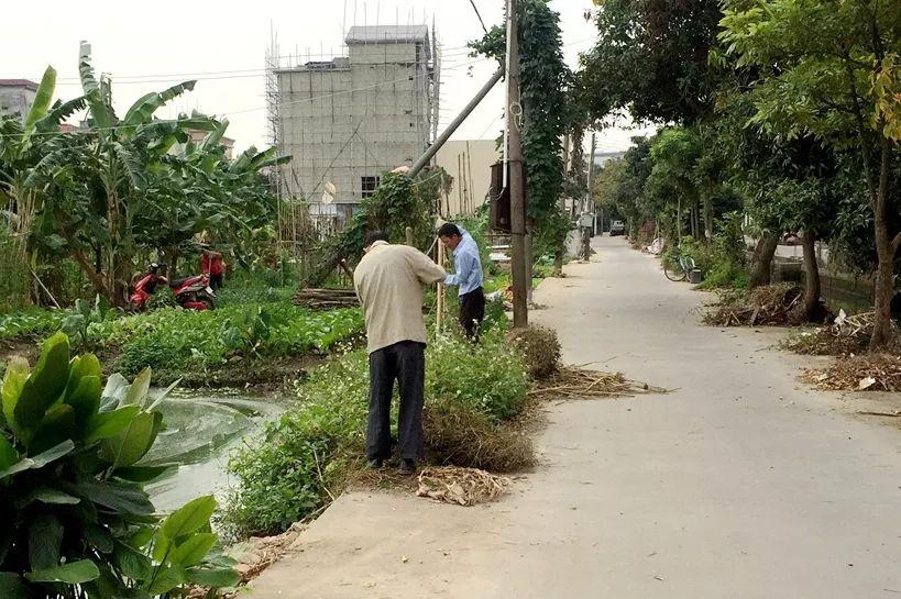 台风最新动态对中山的影响及应对措施