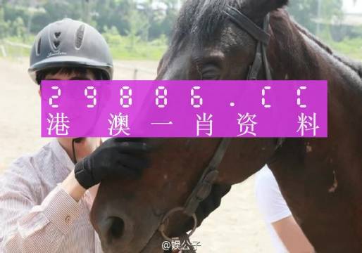 澳门必中一一肖一码服务内容,专家评估说明_C版77.929