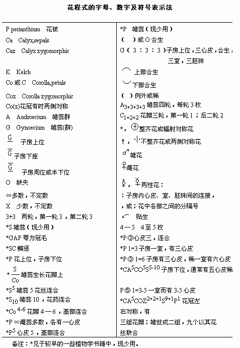 新澳资料大全资料,现象解答解释定义_户外版21.242