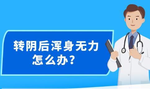 新澳精准资料免费提供,精细化执行计划_冒险款59.407