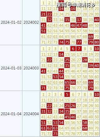 2024天天开好彩大全,多元化策略执行_Lite88.455