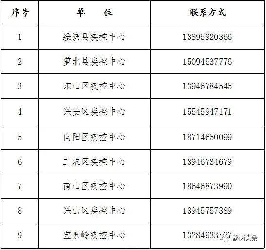 广东八二站资料大全正版,稳健性策略评估_精英版66.247