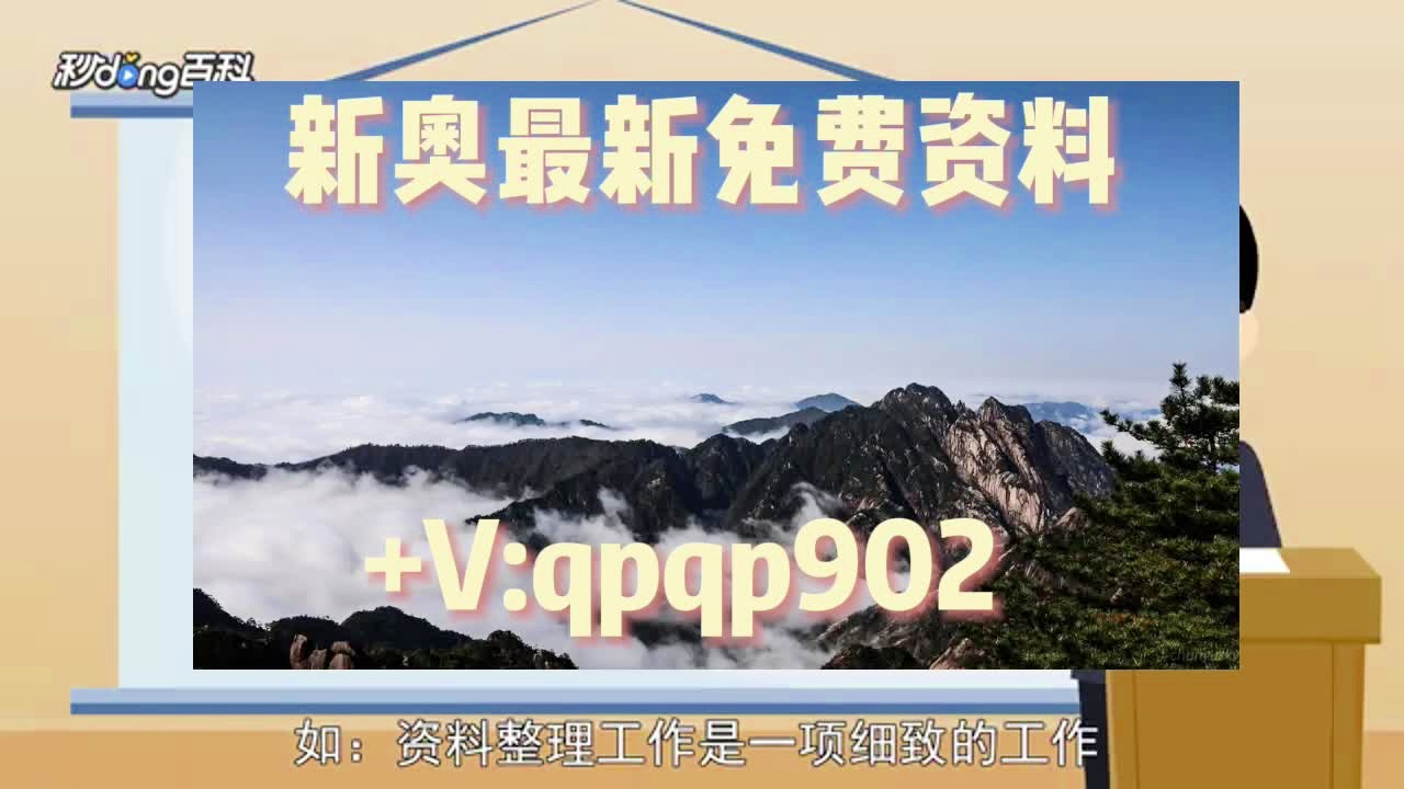 2024新澳正版免费资料大全,灵活性操作方案_WP版48.16