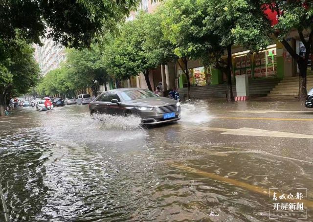 云南暴雨最新动态，影响及应对策略