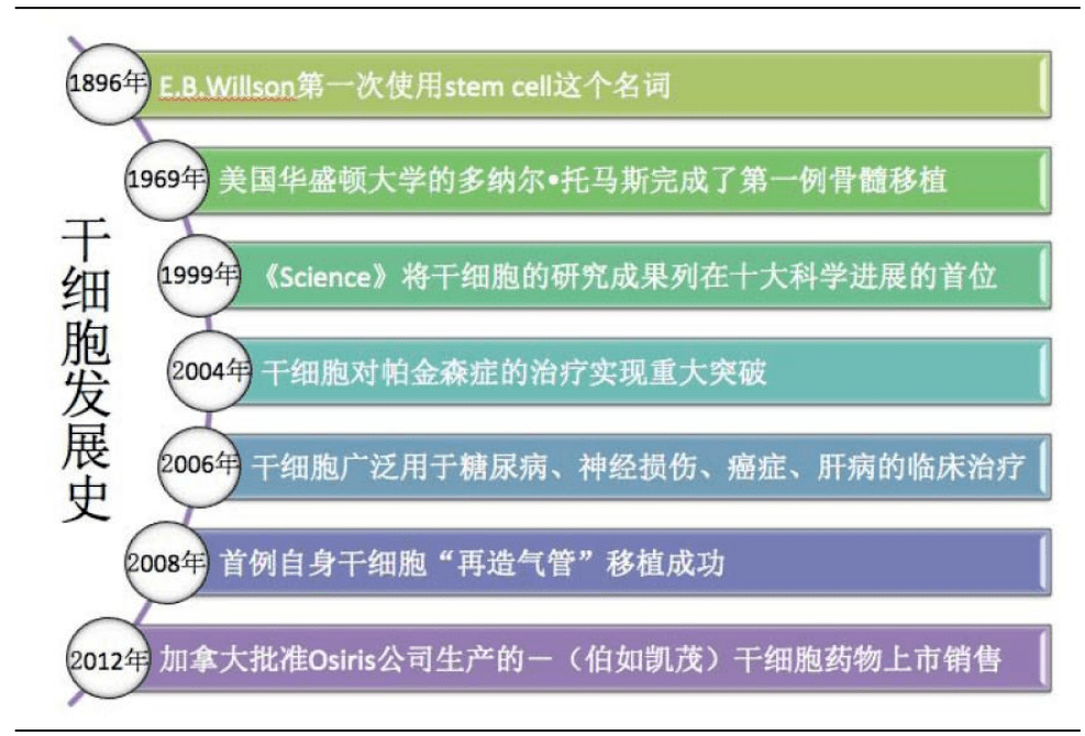 干细胞研究最新进展，重塑医疗领域的未来希望