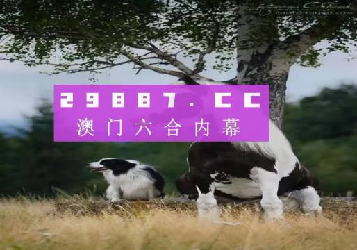 澳门跑狗,适用性方案解析_增强版26.153