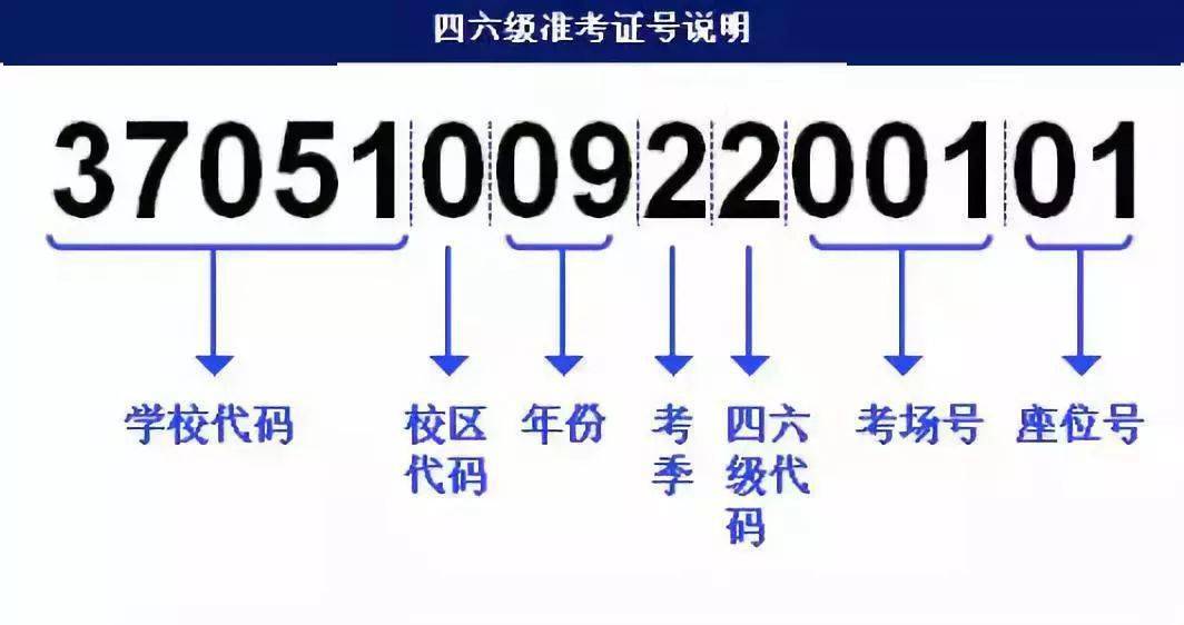 新奥管家婆免费资料2O24,快速设计问题计划_Nexus89.42