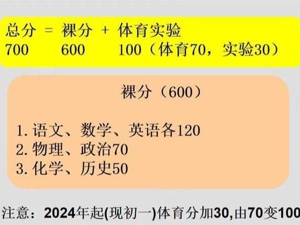 2024新澳资料大全免费,决策资料解释落实_Nexus36.703