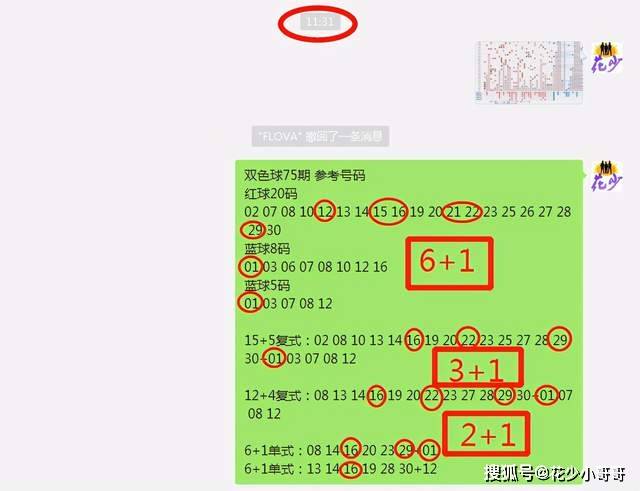 白小姐今晚特马期期准六,专业解析说明_AR版87.594