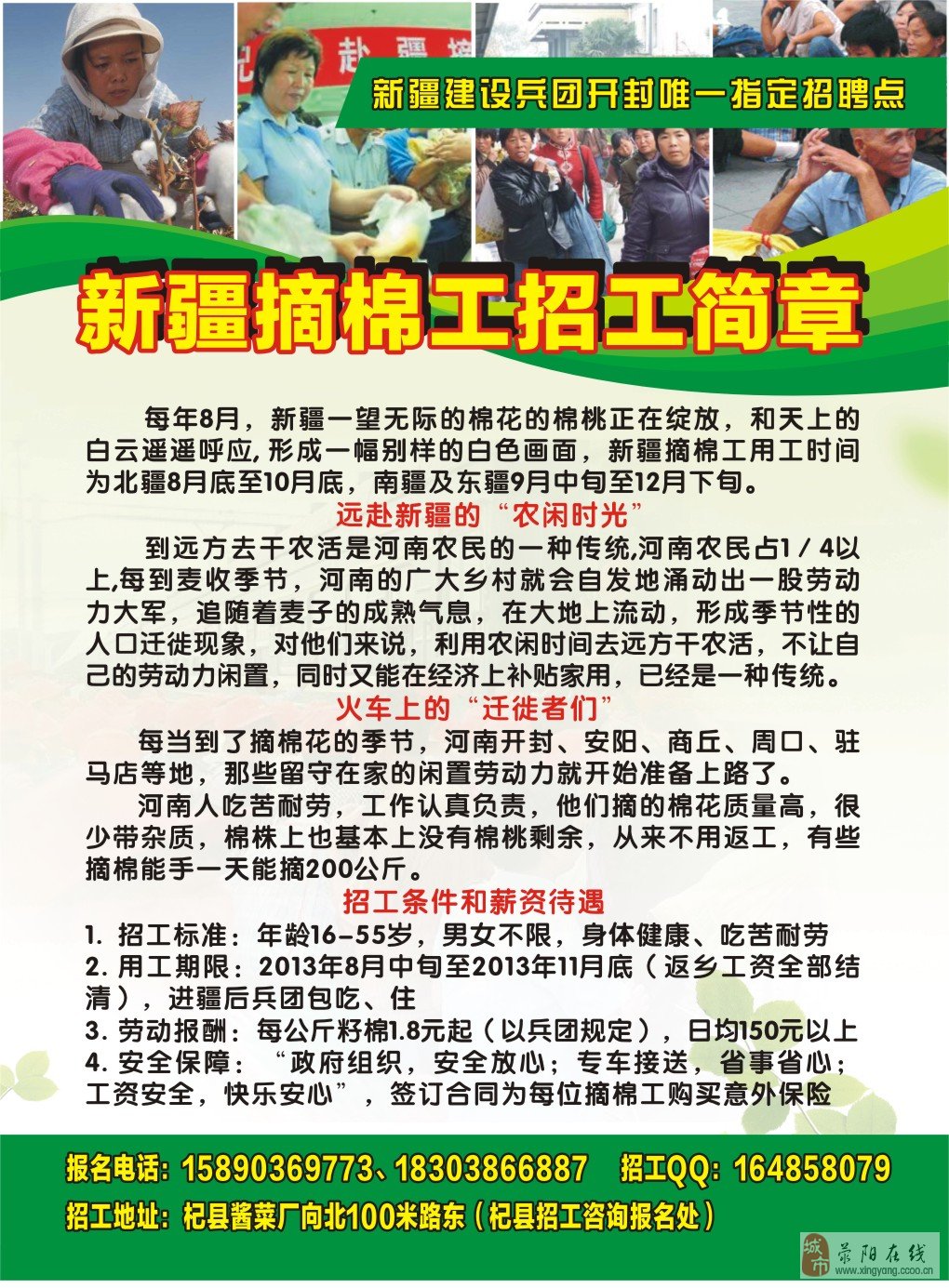 新疆招聘网最新招聘动态深度解读与解析