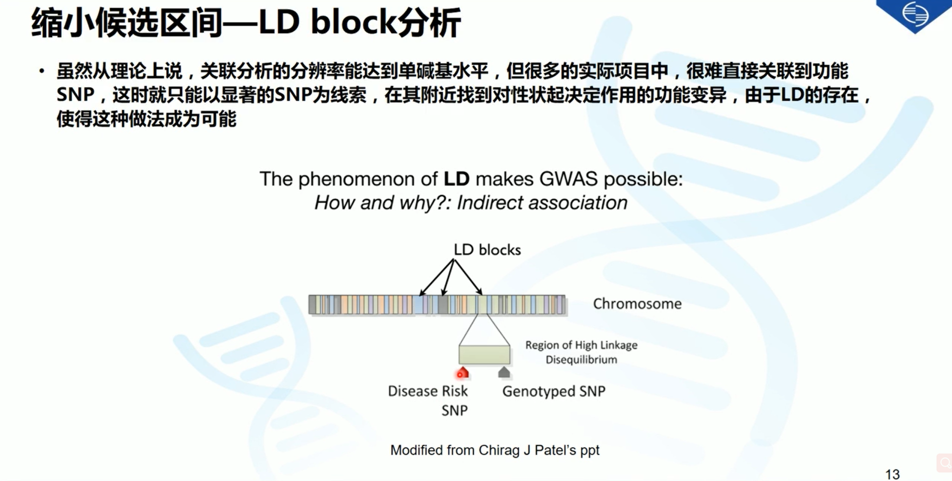 香港正版资料免费资料网,实证解读说明_CT31.932