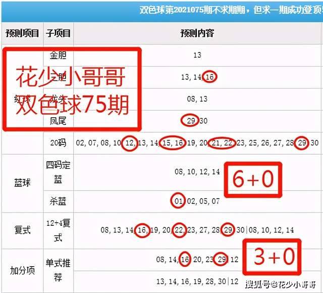 白小姐今晚特马期期准六,高速响应方案解析_V43.165