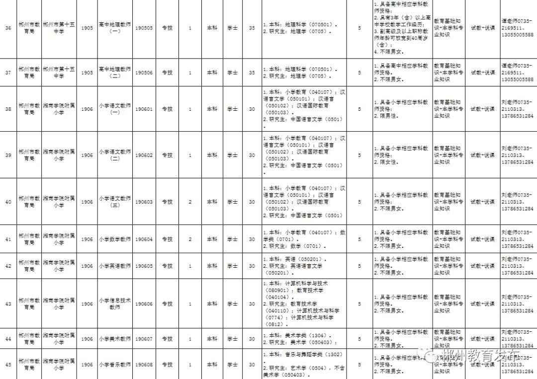 郴州市最新招聘动态，职业发展的新天地与展望