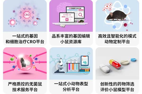 2023澳门管家婆资料正版大全,实地研究解析说明_nShop66.111