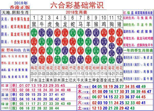 2024澳门正版资料大全资料生肖卡,现状分析解释定义_超级版52.817