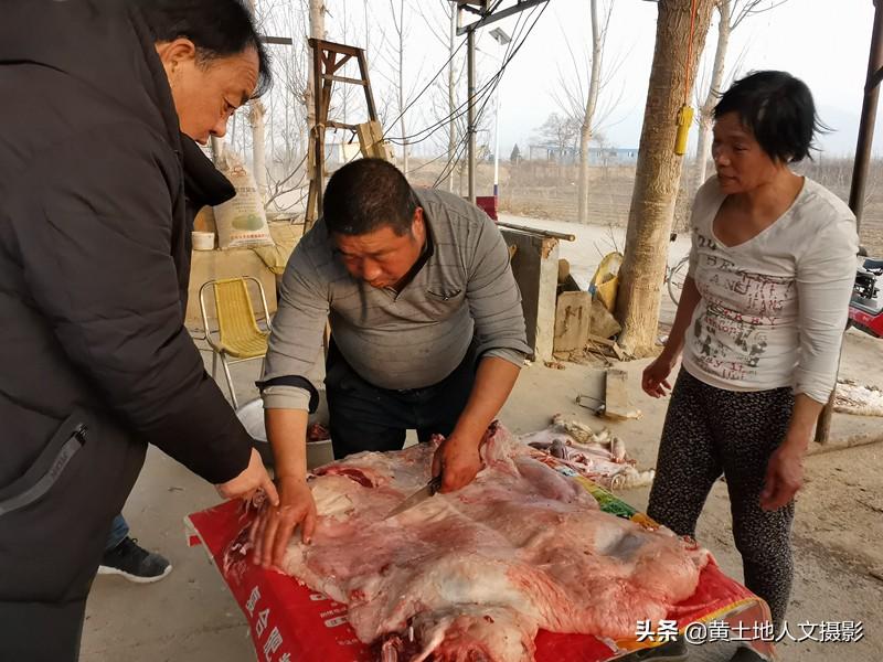 羊肉市场最新动态，价格走势、影响因素与未来预测分析