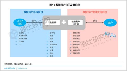 新澳正版资料与内部资料,数据资料解释定义_完整版62.476