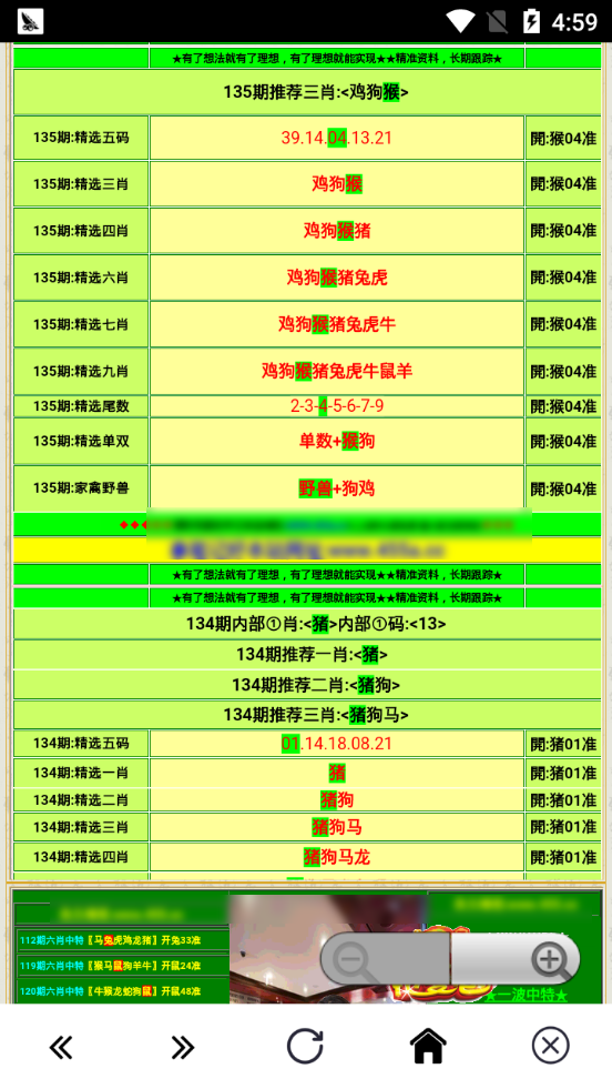 流星追影