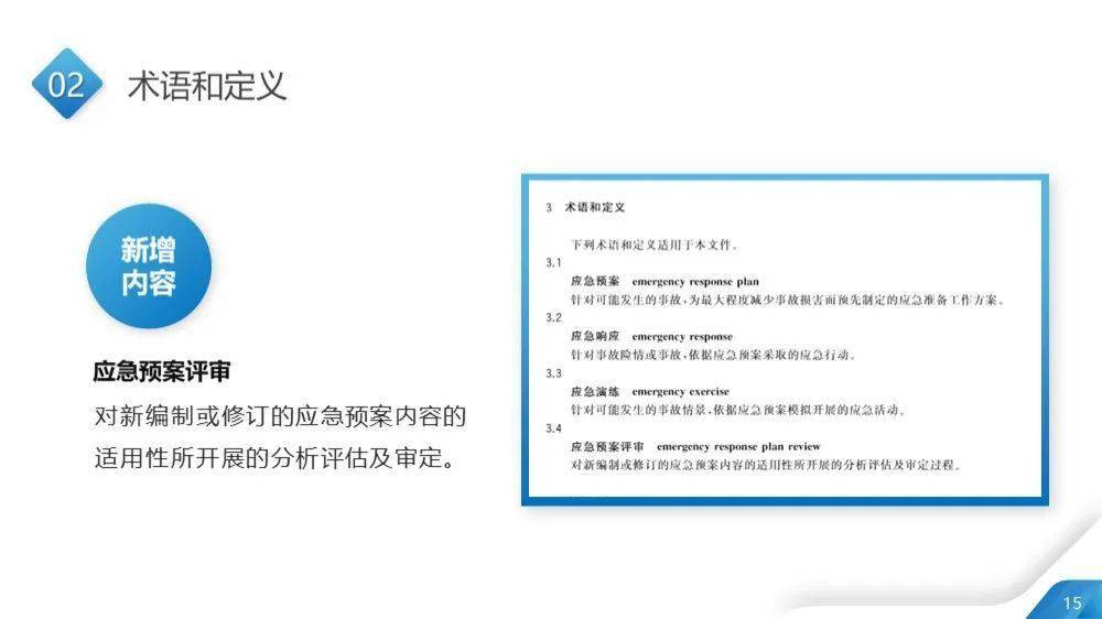 新澳精准资料免费提供濠江论坛,经验解答解释落实_薄荷版11.732