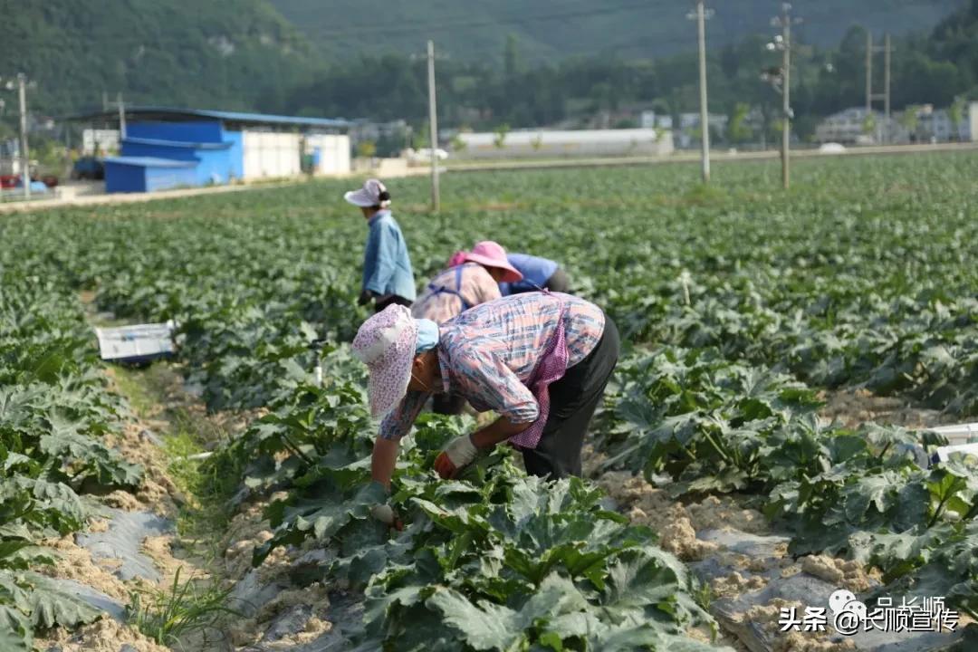 手机呱呱社区下载，开启社交新领域的探索之旅