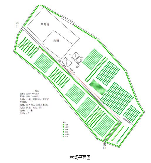 秀水林场未来发展规划展望