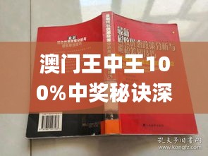 新澳门王中王100%期期中,定性解析评估_云端版21.333