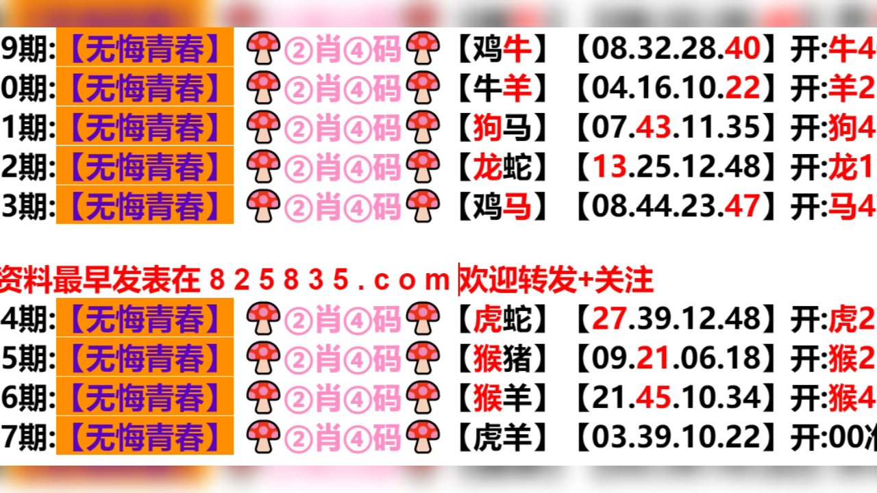 2024年新奥门天天开彩,最新核心解答定义_Windows66.859