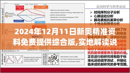 2024新奥资料免费精准资料,实地数据执行分析_AR86.233