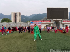 鸡东县文化广电体育和旅游局新项目推动地方文体事业繁荣发展