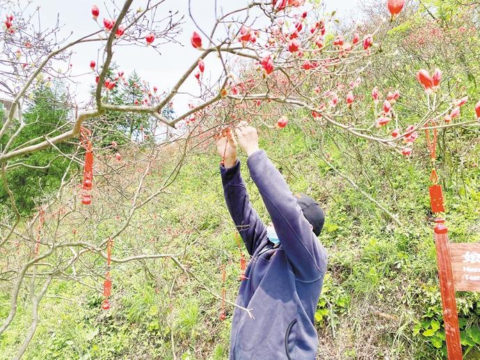 磐安镇最新发展动态与社会变迁报道