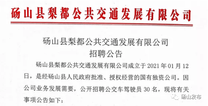 砀山县人民政府办公室最新招聘启事概览