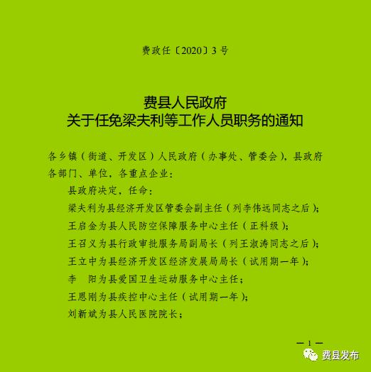 费县人民政府办公室人事任命重塑领导团队，推动县域发展新篇章开启