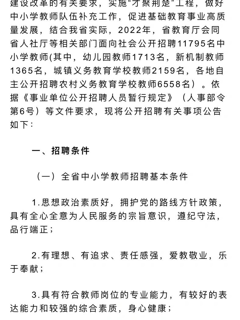 新洲区教育局最新招聘公告详解