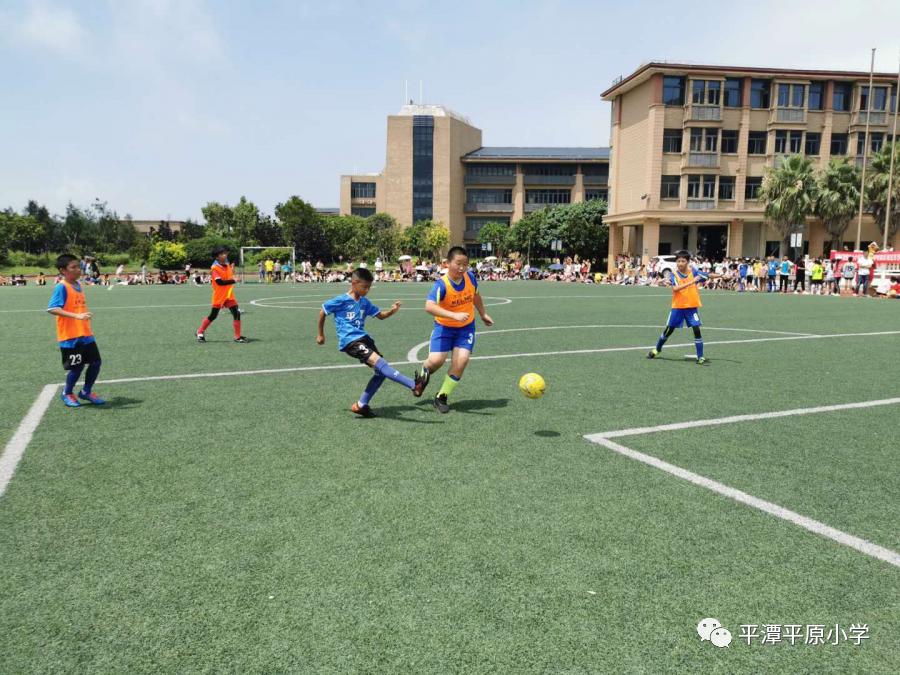 平原县小学最新动态报道