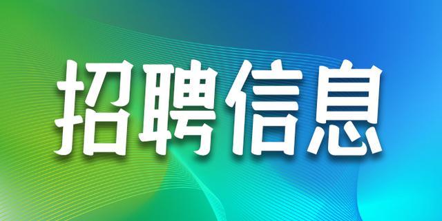 2025年2月 第313页