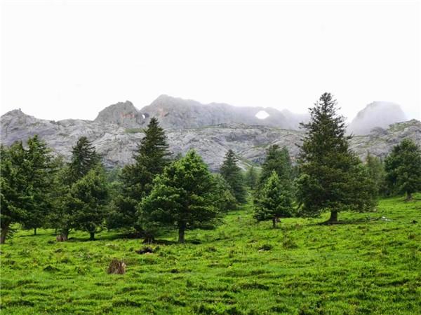 兴海县文化广电体育和旅游局新项目助力地方文化繁荣与旅游发展推进