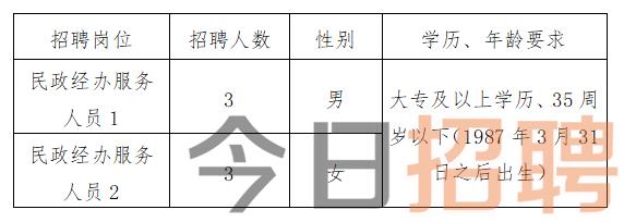 格尔木市民政局最新招聘信息及相关内容深度解析