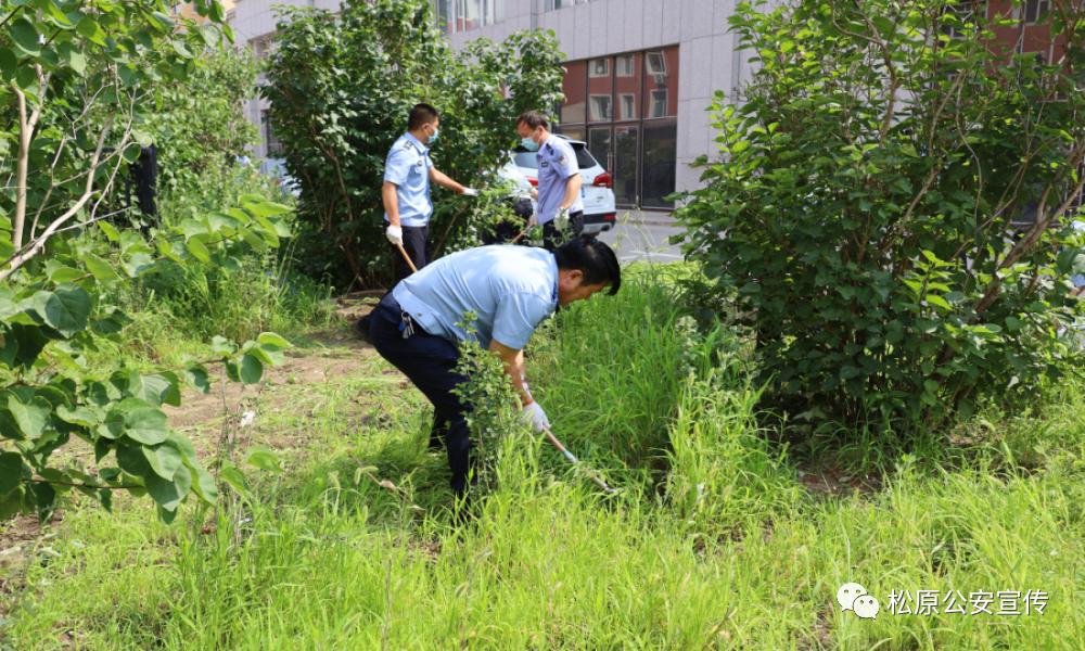 宁江区自然资源和规划局领导团队最新概况