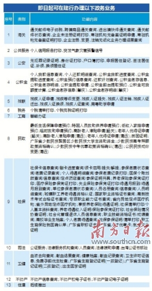 桐柏县数据和政务服务局最新项目进展报告，推动数字化转型，优化政务服务流程