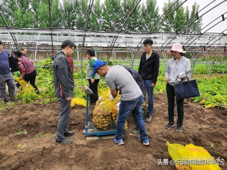 乐陵市科技局新闻动态与创新发展综述