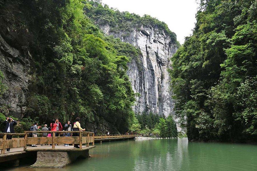 武隆县住房和城乡建设局最新发展规划概览